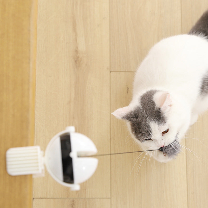 Juego Felino Bola al aire