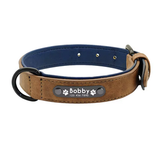 Collar Colours Personalizable