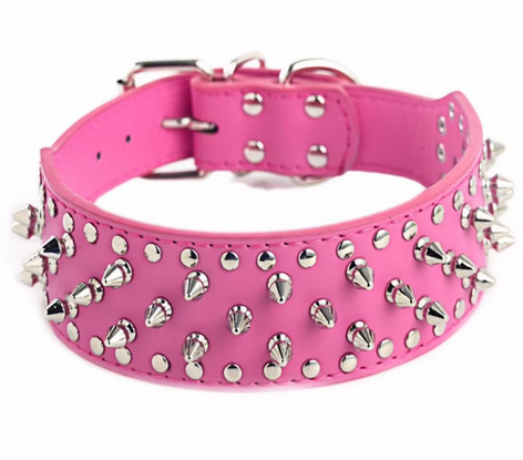 Collar mascotas Punk Art